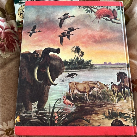 Vintage The Wonders of Nature Hardcover Book 1974 Coffee Table Book oversized - Picture 15 of 16